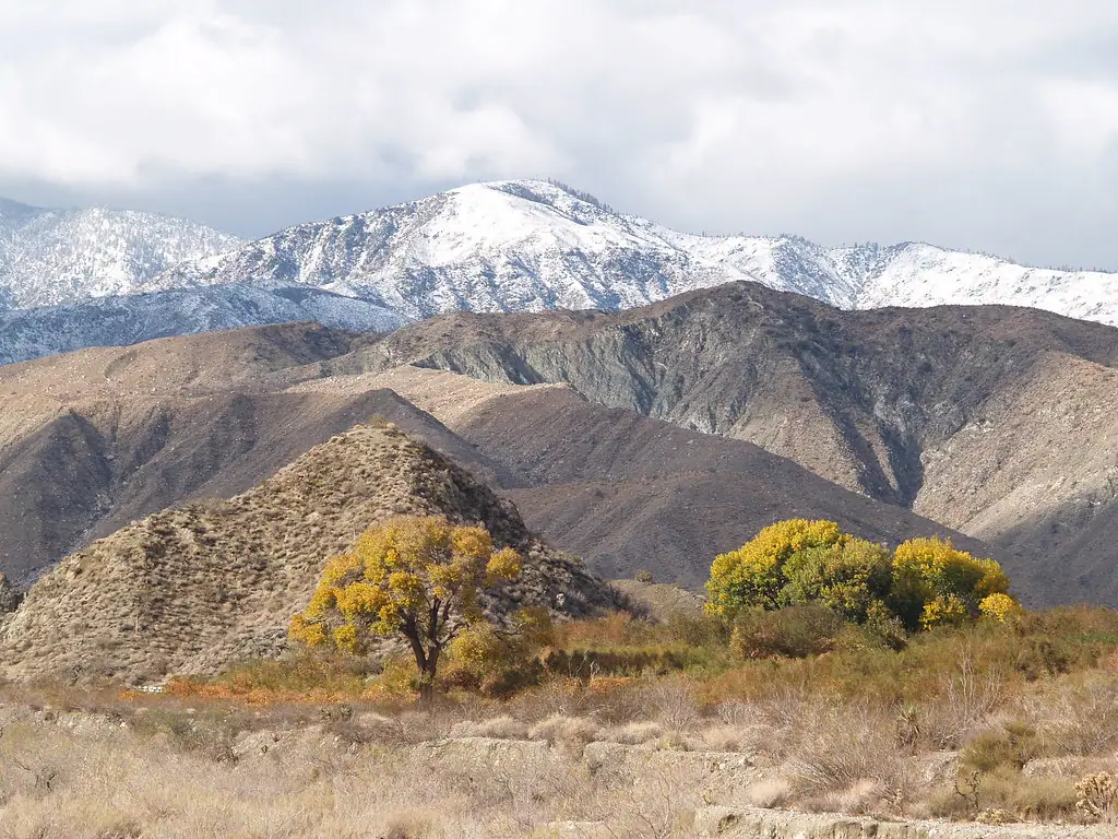 Snow-capped mountains rising behind dry desert hills with autumn trees in the foreground
